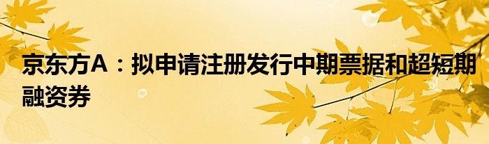 京东方A：拟申请注册发行中期票据和超短期融资券