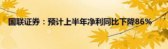 国联证券：预计上半年净利同比下降86%