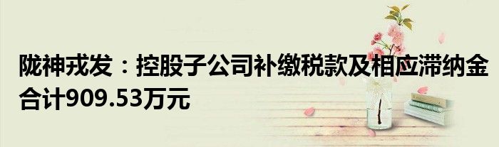 陇神戎发：控股子公司补缴税款及相应滞纳金合计909.53万元