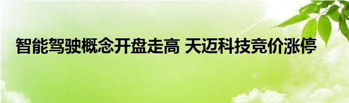 智能驾驶概念开盘走高 天迈科技竞价涨停