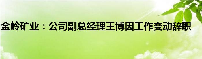 金岭矿业：公司副总经理王博因工作变动辞职