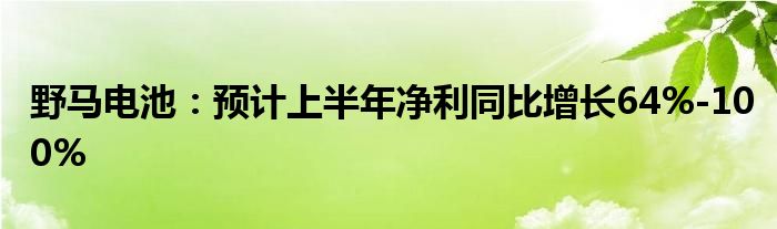 野马电池：预计上半年净利同比增长64%-100%