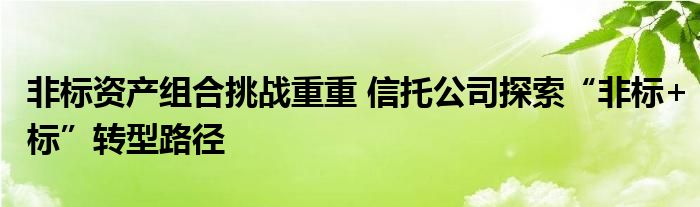 非标资产组合挑战重重 信托公司探索“非标+标”转型路径