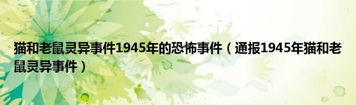 猫和老鼠灵异事件1945年的恐怖事件（通报1945年猫和老鼠灵异事件）