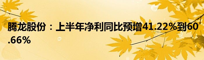 腾龙股份：上半年净利同比预增41.22%到60.66%