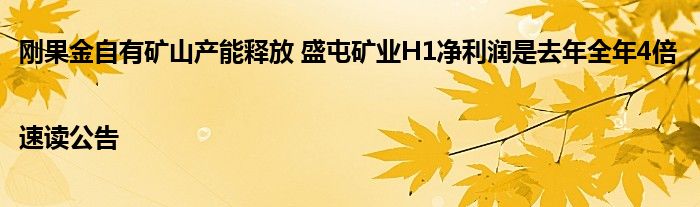 刚果金自有矿山产能释放 盛屯矿业H1净利润是去年全年4倍 |速读公告