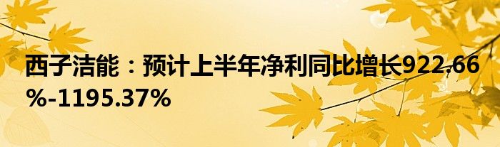 西子洁能：预计上半年净利同比增长922.66%-1195.37%