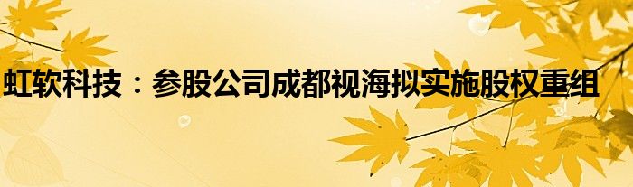 虹软科技：参股公司成都视海拟实施股权重组