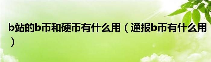 b站的b币和硬币有什么用（通报b币有什么用）