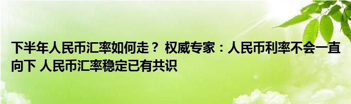 下半年人民币汇率如何走？ 权威专家：人民币利率不会一直向下 人民币汇率稳定已有共识