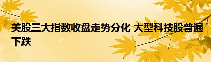 美股三大指数收盘走势分化 大型科技股普遍下跌