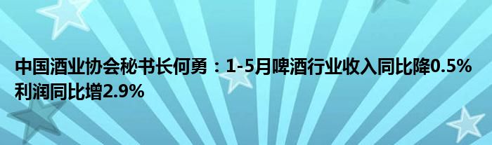 中国酒业协会秘书长何勇：1-5月啤酒行业收入同比降0.5% 利润同比增2.9%