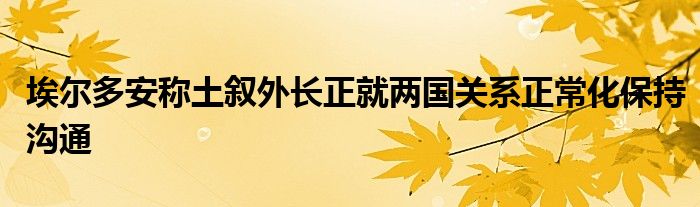 埃尔多安称土叙外长正就两国关系正常化保持沟通