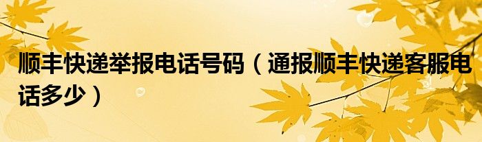 顺丰快递举报电话号码（通报顺丰快递客服电话多少）