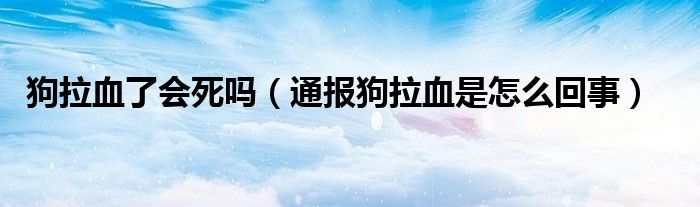 狗拉血了会死吗（通报狗拉血是怎么回事）