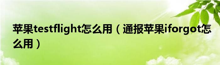 苹果testflight怎么用（通报苹果iforgot怎么用）