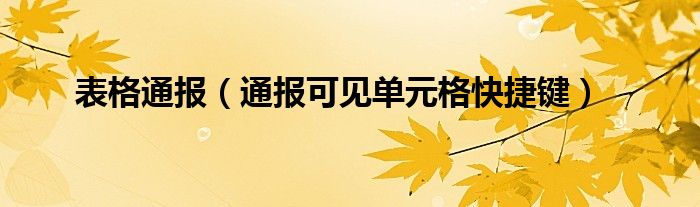 表格通报（通报可见单元格快捷键）