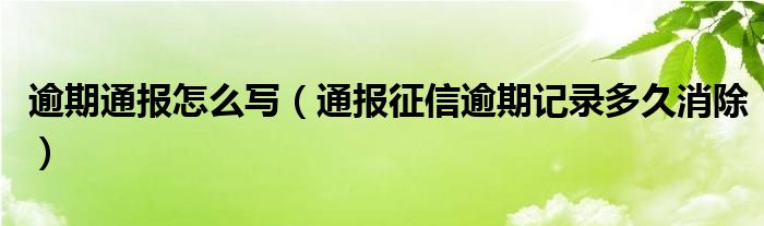 逾期通报怎么写（通报征信逾期记录多久消除）