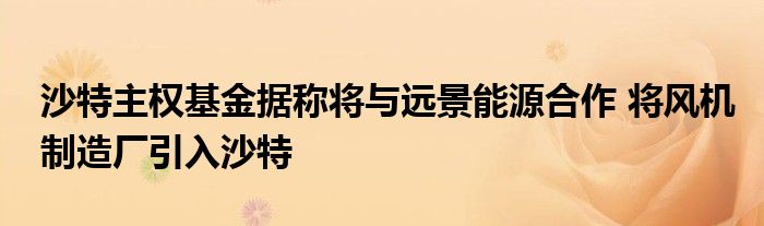 沙特主权基金据称将与远景能源合作 将风机制造厂引入沙特