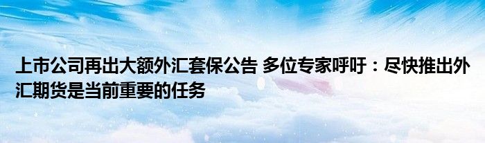 上市公司再出大额外汇套保公告 多位专家呼吁：尽快推出外汇期货是当前重要的任务