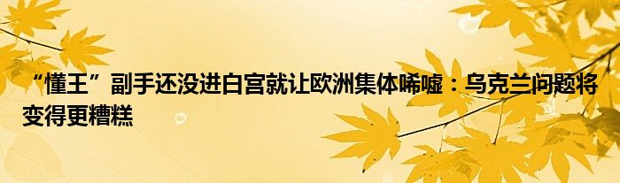 “懂王”副手还没进白宫就让欧洲集体唏嘘：乌克兰问题将变得更糟糕