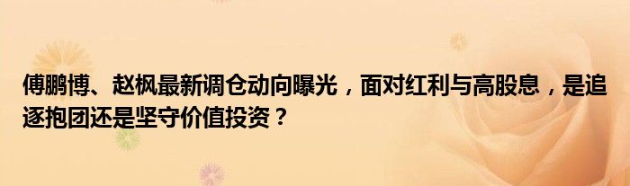 傅鹏博、赵枫最新调仓动向曝光，面对红利与高股息，是追逐抱团还是坚守价值投资？