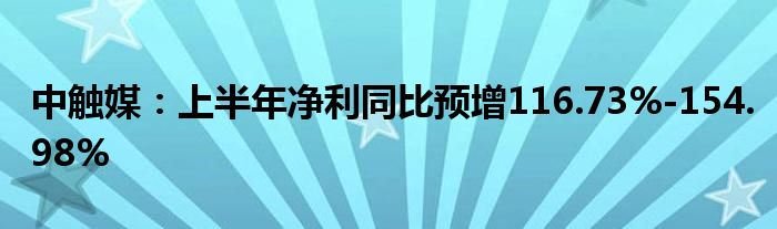 中触媒：上半年净利同比预增116.73%-154.98%