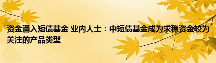 资金涌入短债基金 业内人士：中短债基金成为求稳资金较为关注的产品类型