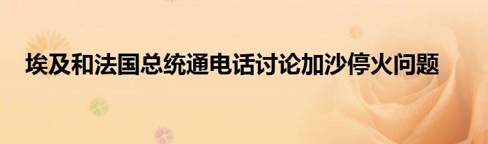 埃及和法国总统通电话讨论加沙停火问题