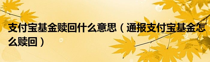 支付宝基金赎回什么意思（通报支付宝基金怎么赎回）