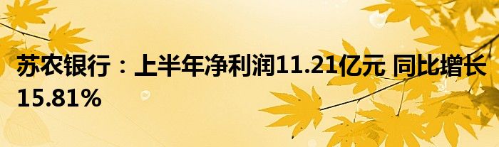 苏农银行：上半年净利润11.21亿元 同比增长15.81%