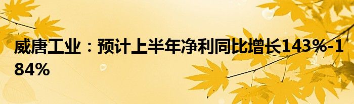 威唐工业：预计上半年净利同比增长143%-184%