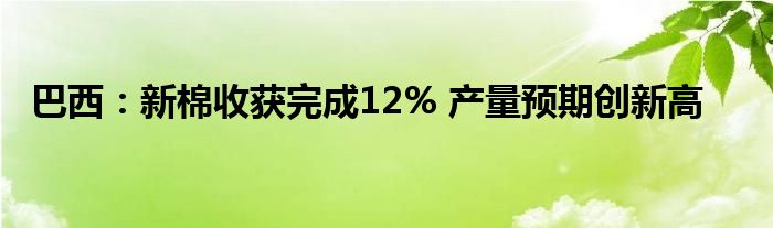 巴西：新棉收获完成12% 产量预期创新高