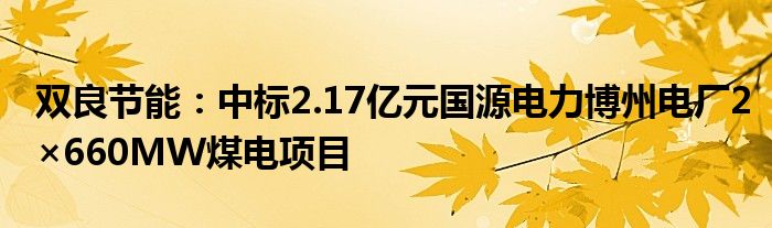 双良节能：中标2.17亿元国源电力博州电厂2×660MW煤电项目