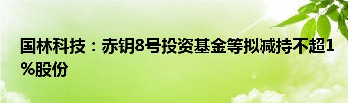 国林科技：赤钥8号投资基金等拟减持不超1%股份