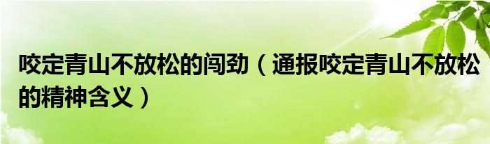 咬定青山不放松的闯劲（通报咬定青山不放松的精神含义）