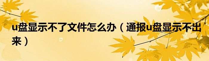 u盘显示不了文件怎么办（通报u盘显示不出来）