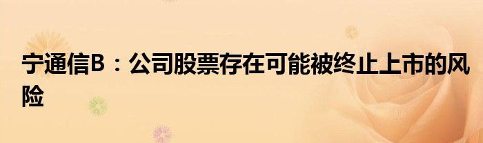 宁通信B：公司股票存在可能被终止上市的风险