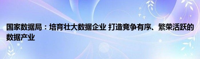 国家数据局：培育壮大数据企业 打造竞争有序、繁荣活跃的数据产业