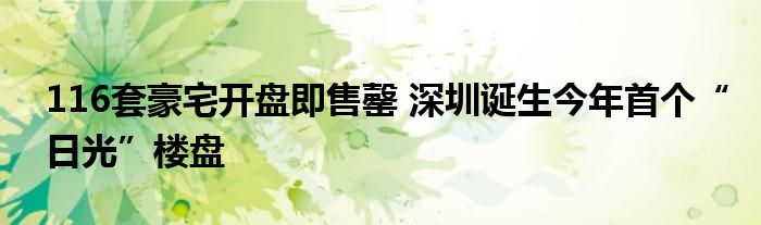 116套豪宅开盘即售罄 深圳诞生今年首个“日光”楼盘