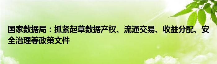 国家数据局：抓紧起草数据产权、流通交易、收益分配、安全治理等政策文件