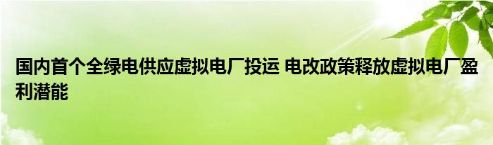 国内首个全绿电供应虚拟电厂投运 电改政策释放虚拟电厂盈利潜能