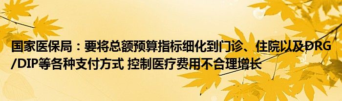 国家医保局：要将总额预算指标细化到门诊、住院以及DRG/DIP等各种支付方式 控制医疗费用不合理增长