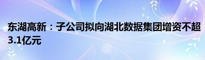 东湖高新：子公司拟向湖北数据集团增资不超3.1亿元