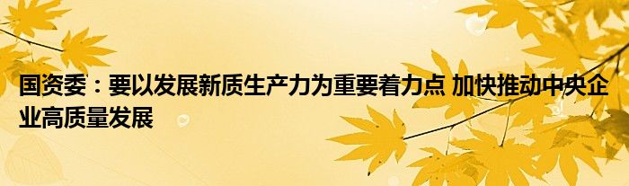 国资委：要以发展新质生产力为重要着力点 加快推动中央企业高质量发展