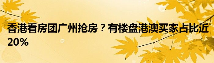 香港看房团广州抢房？有楼盘港澳买家占比近20%