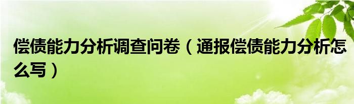 偿债能力分析调查问卷（通报偿债能力分析怎么写）