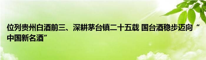 位列贵州白酒前三、深耕茅台镇二十五载 国台酒稳步迈向“中国新名酒”