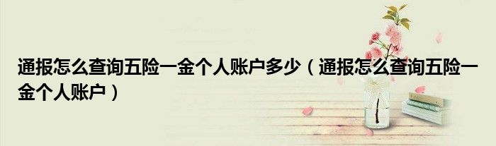 通报怎么查询五险一金个人账户多少（通报怎么查询五险一金个人账户）