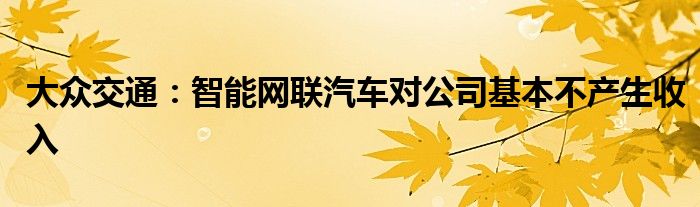 大众交通：智能网联汽车对公司基本不产生收入